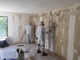 Professional Mold Remediation in Bodfish, CA